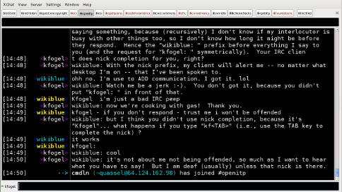 Screenshot of an IRC session.