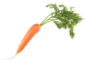a carrot